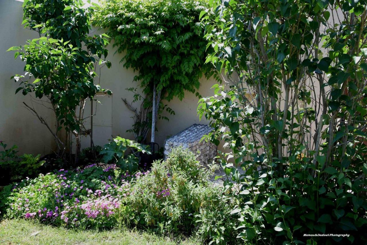 Chez Mamou & Dadou Appartement Monteux Buitenkant foto