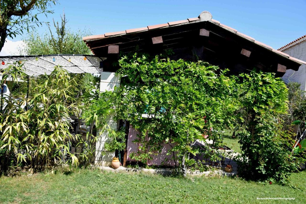 Chez Mamou & Dadou Appartement Monteux Buitenkant foto